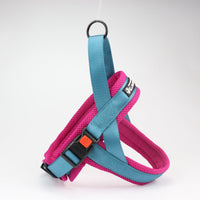 HKM-9893181 Durable Nylon Chest and Back Harness for Dogs with Leash - Adjustable Sizes Available