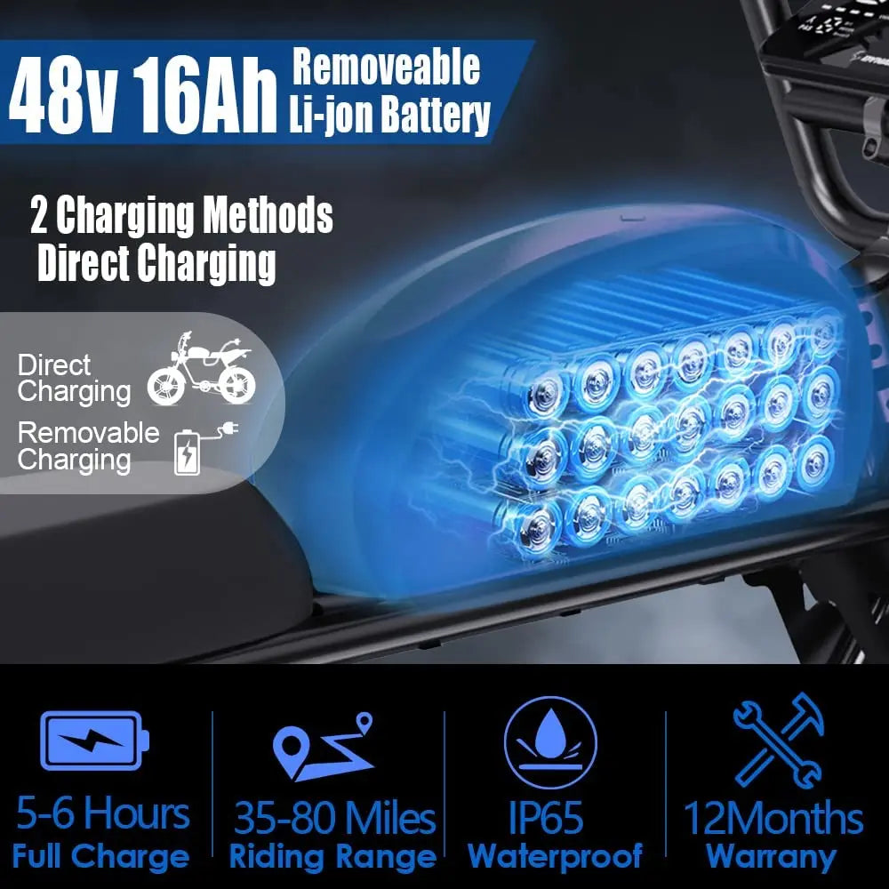 HKM-989523 48V 16Ah Electric Fat Tire Bike with 7-Speed Gears and Rear Hub Motor