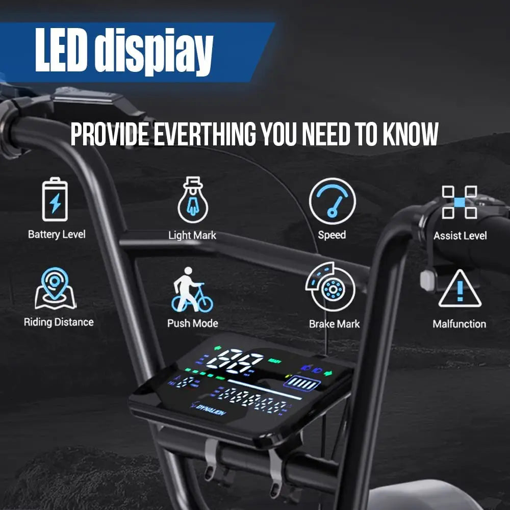 HKM-989523 48V 16Ah Electric Fat Tire Bike with 7-Speed Gears and Rear Hub Motor