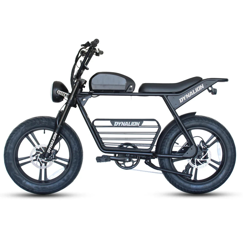HKM-989523 48V 16Ah Electric Fat Tire Bike with 7-Speed Gears and Rear Hub Motor