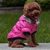 HKM-9895613 Cozy Cotton Padded Pet Clothes - Zippered Jacket for All Sizes