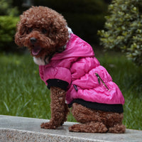 HKM-9895613 Cozy Cotton Padded Pet Clothes - Zippered Jacket for All Sizes
