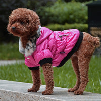 HKM-9895613 Cozy Cotton Padded Pet Clothes - Zippered Jacket for All Sizes