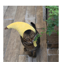 HKM-9895997 Yellow Banana Cross Hat for Medium Dogs and Pets - Adjustable Neck Circumference 30cm