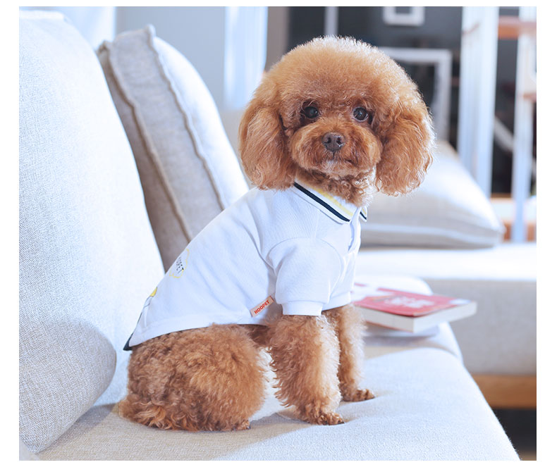 HKM-9897533 Teddy Pet Summer T-Shirt for Pets - Lightweight Nylon Fabric, Various Sizes Available