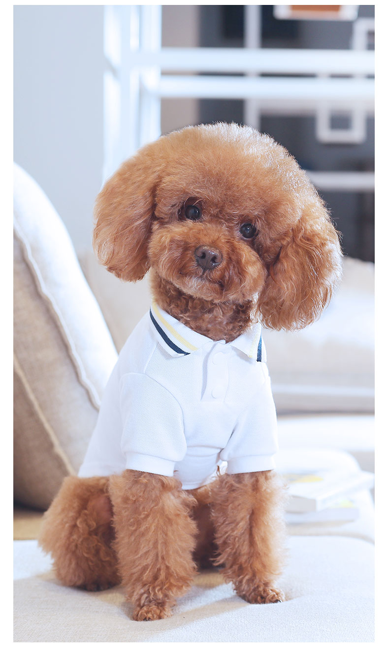 HKM-9897533 Teddy Pet Summer T-Shirt for Pets - Lightweight Nylon Fabric, Various Sizes Available