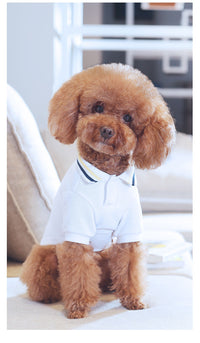 HKM-9897533 Teddy Pet Summer T-Shirt for Pets - Lightweight Nylon Fabric, Various Sizes Available
