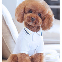 HKM-9897533 Teddy Pet Summer T-Shirt for Pets - Lightweight Nylon Fabric, Various Sizes Available