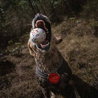 HKM-9899581 Durable ETPU Chewing Dog Toy Ball for Strong Chewers, 7CM Diameter