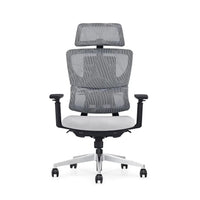 HKM-990035 Ergonomic High Back Full Mesh Executive Office Chair with Swivel Function