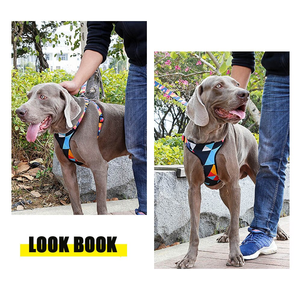 HKM-9905981 Comfortable Nylon Chest Harness for Medium and Large Dogs with Adjustable Traction and Padded Design