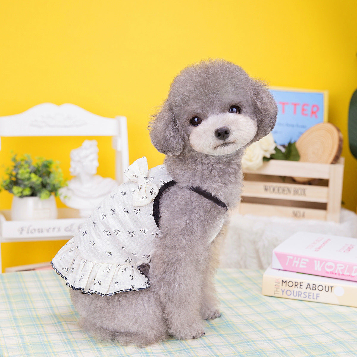 HKM-9907261 Puppy Teddy Small Dog Skirt - Cotton Princess Pet Clothing in Bear and Cherry Colors