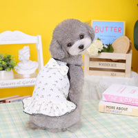 HKM-9907261 Puppy Teddy Small Dog Skirt - Cotton Princess Pet Clothing in Bear and Cherry Colors