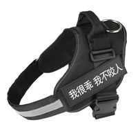 HKM-9908541 Adjustable Reflective Nylon Dog Leash with Durable Buckle and Stainless Steel Ring
