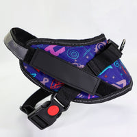 HKM-9908541 Adjustable Reflective Nylon Dog Leash with Durable Buckle and Stainless Steel Ring