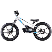 HKM-991315 FXB Electric Balance Bike for Kids, 20-Inch Wheel, 600W Brushless Motor, Adjustable Seat, 3 Speed Options, Lightweight and Durable Design