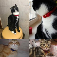 HKM-9914429 Flocking Cat Collar - Soft and Comfortable Design for Your Feline Companion