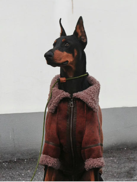 HKM-9917885 Winter Velvet Pet Coat with Lapel for Large Dogs - Sizes 4XL to 7XL, Denim Fleece Collar, Warm and Comfortable