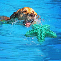 HKM-9921469 Edible TPR Starfish Dog Toy for Large Dogs | Interactive Chew & Dental Care Accessory