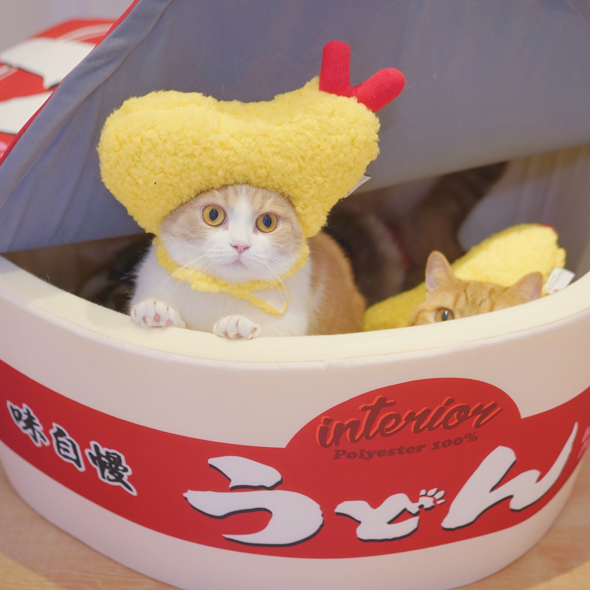 HKM-9922749 Tempura-Inspired Yellow Wool Hat for Cozy All-Season Style