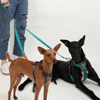 HKM-9923261 Explosion-proof Nylon Dog Leash for Puppies - Available in Cardamom Red, Yading Green, Yunshan Blue
