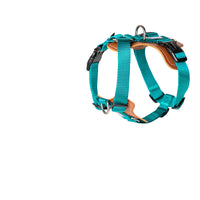 HKM-9923261 Explosion-proof Nylon Dog Leash for Puppies - Available in Cardamom Red, Yading Green, Yunshan Blue