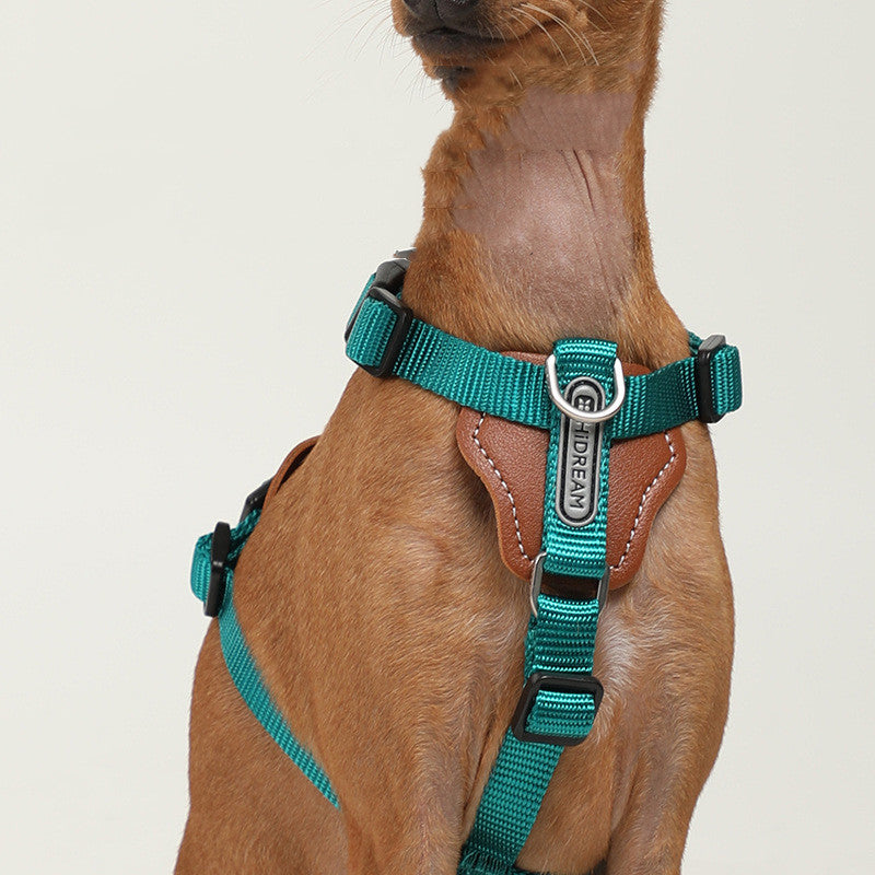 HKM-9923261 Explosion-proof Nylon Dog Leash for Puppies - Available in Cardamom Red, Yading Green, Yunshan Blue