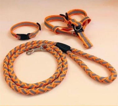 HKM-9923773 Durable Pet Dog Leash with Adjustable Collar and Secure Fit for Small to Large Breeds