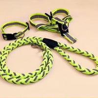 HKM-9923773 Durable Pet Dog Leash with Adjustable Collar and Secure Fit for Small to Large Breeds