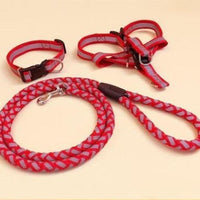 HKM-9923773 Durable Pet Dog Leash with Adjustable Collar and Secure Fit for Small to Large Breeds