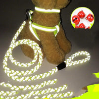 HKM-9923773 Durable Pet Dog Leash with Adjustable Collar and Secure Fit for Small to Large Breeds