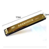HKM-994451 Double-Row Adjustable Harmonica for Versatile Playing Experience