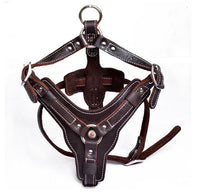 HKM-9956029 Genuine Oil Leather Dog Harness for Medium and Large Breeds, Adjustable Neck and Chest Measurements