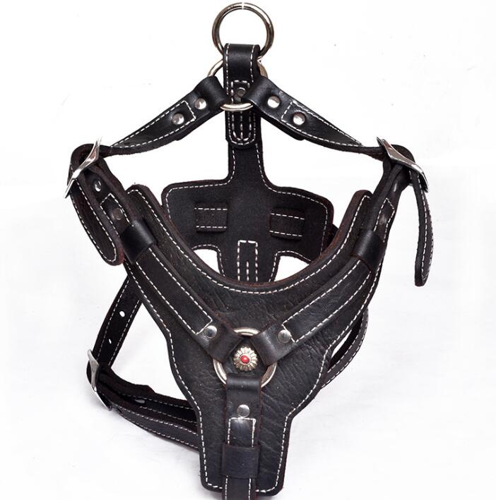 HKM-9956029 Genuine Oil Leather Dog Harness for Medium and Large Breeds, Adjustable Neck and Chest Measurements