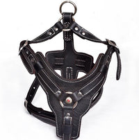 HKM-9956029 Genuine Oil Leather Dog Harness for Medium and Large Breeds, Adjustable Neck and Chest Measurements