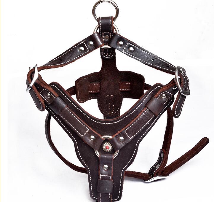HKM-9956029 Genuine Oil Leather Dog Harness for Medium and Large Breeds, Adjustable Neck and Chest Measurements