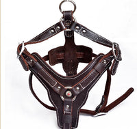 HKM-9956029 Genuine Oil Leather Dog Harness for Medium and Large Breeds, Adjustable Neck and Chest Measurements