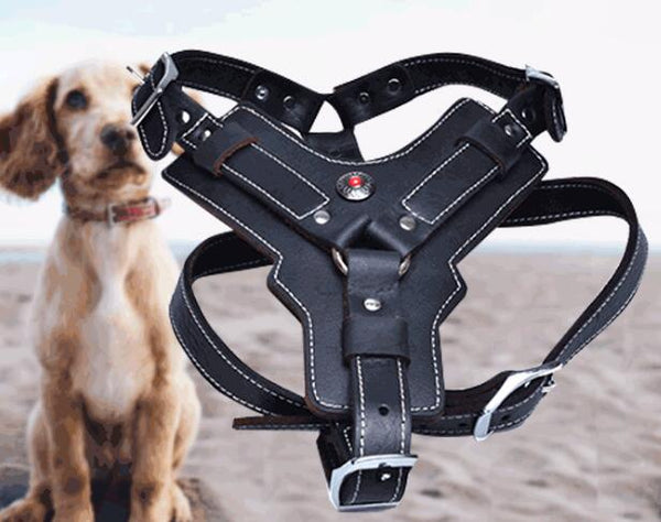 HKM-9956029 Genuine Oil Leather Dog Harness for Medium and Large Breeds, Adjustable Neck and Chest Measurements