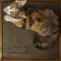 HKM-9956925 Corrugated Cat Scratch Board Toy with Book Stand Design for Scratch and Play