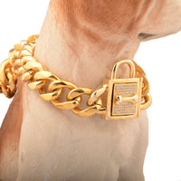 HKM-9958717 Golden Titanium Steel Dog Chain with Micro-Inlaid White Diamond Buttons - Various Lengths Available