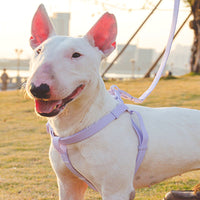 HKM-9966269 Waterproof PVC Pet Collar with Traction Rope ¨C Durable and Comfortable Design