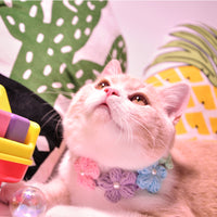 HKM-9970237 Wool Knitted Cat Collar with Super Wide Bow Tie - Adjustable Sizes in Purple and Green