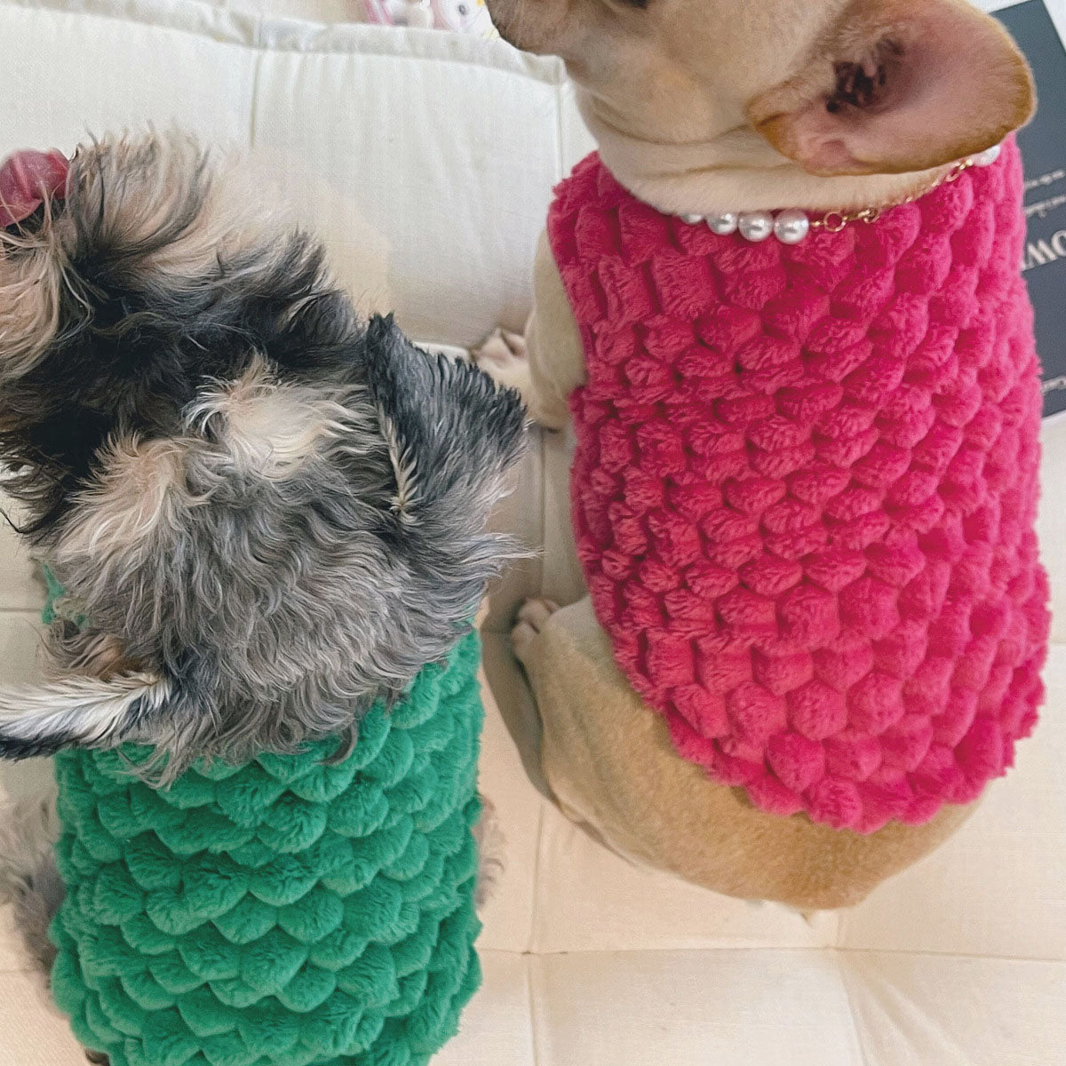 HKM-9978557 Cozy Emerald and Agate Rose Plush Vest for Cats and Dogs