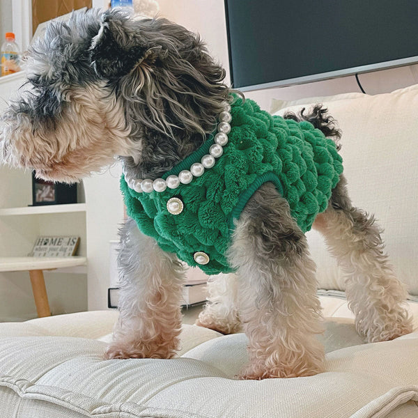 HKM-9978557 Cozy Emerald and Agate Rose Plush Vest for Cats and Dogs