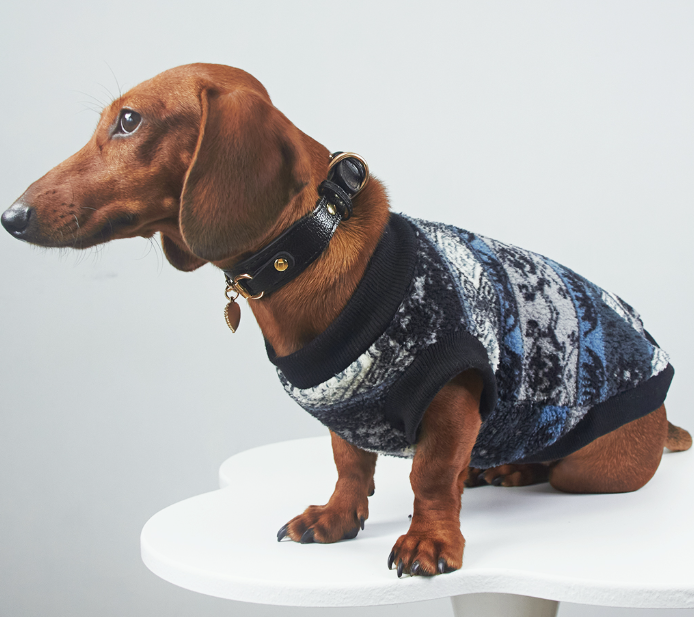 HKM-9988285 Cozy Geometric Patterned Pet Vest for Autumn and Winter