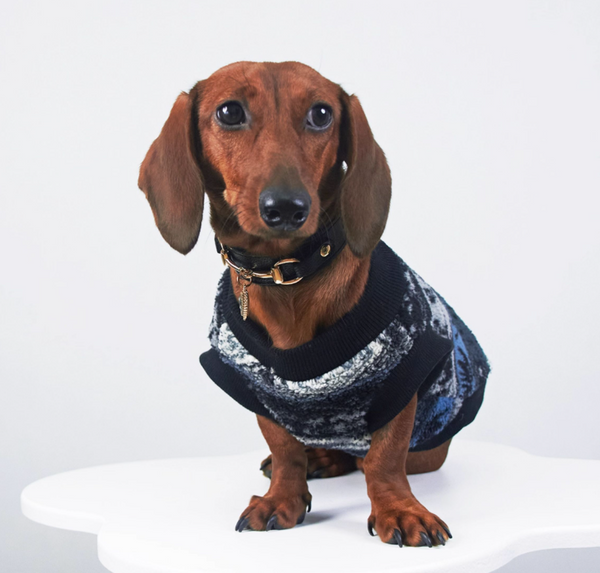 HKM-9988285 Cozy Geometric Patterned Pet Vest for Autumn and Winter