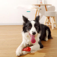 HKM-9990333 Durable Chew-Resistant Dog Molar Stick - TPU & Nylon Options Available