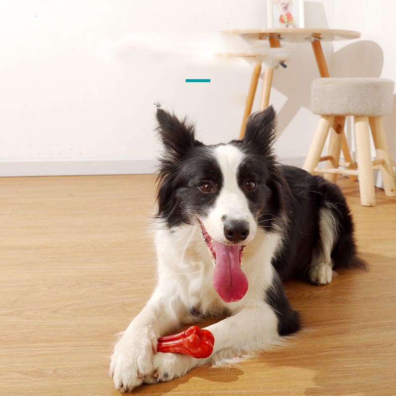 HKM-9990333 Durable Chew-Resistant Dog Molar Stick - TPU & Nylon Options Available