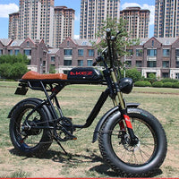 HKM-999123 Foldable Electric Bicycle with 7-Speed Gears, Rear Hub Motor, and 20” Tires