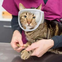 HKM-9992765 Breathable Anti-Bite Muzzle for Cats and Dogs – Soft Cotton and Transparent PVC, Comfortable Design with Air Hole